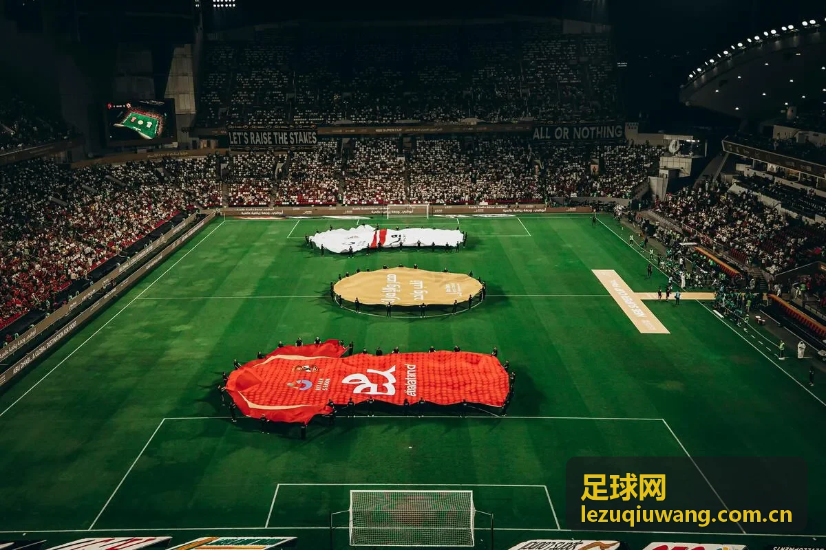 足球网精选球队档案背景